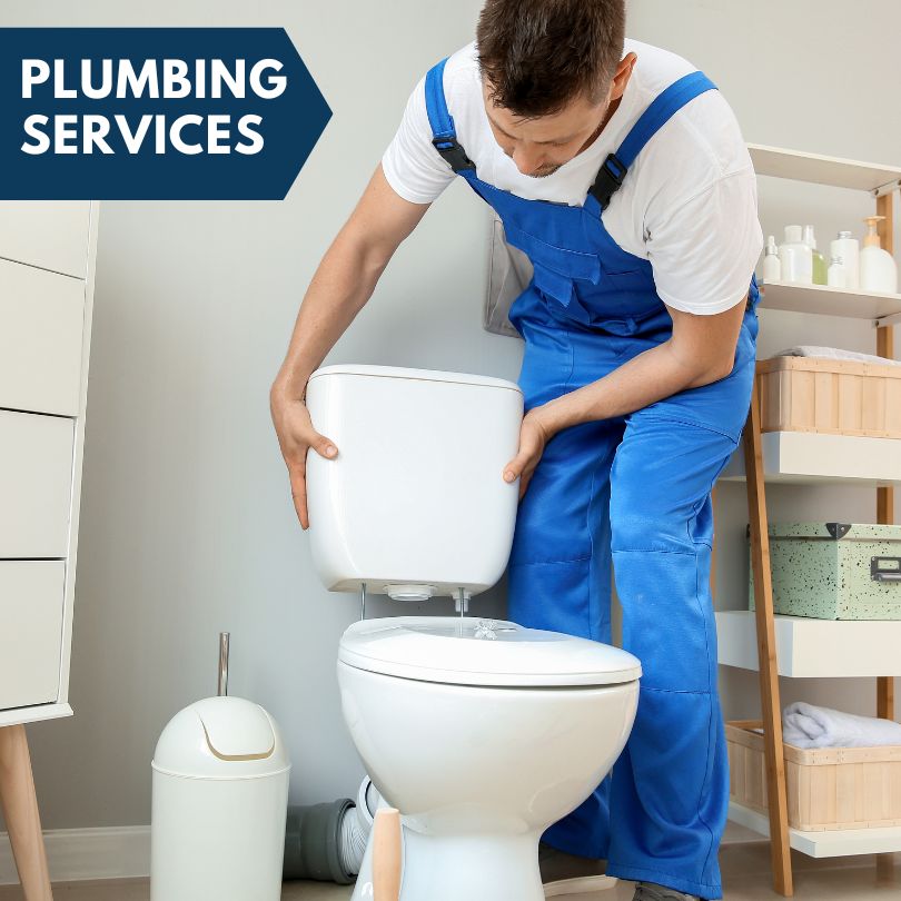 Plumbing Company in Otter Lake, MI